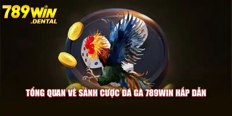 Đá Gà Trực Tiếp Hôm Nay Cực Hấp Dẫn Chỉ Có Tại 789WIN